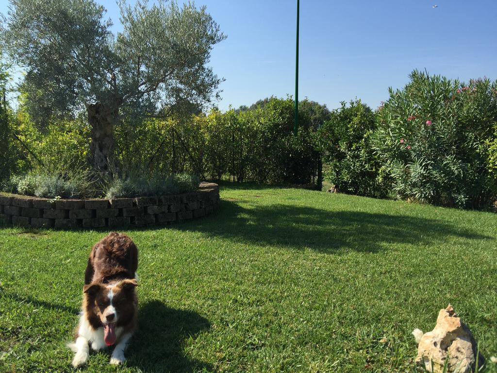 Osti Bed & Breakfast Castel Maggiore